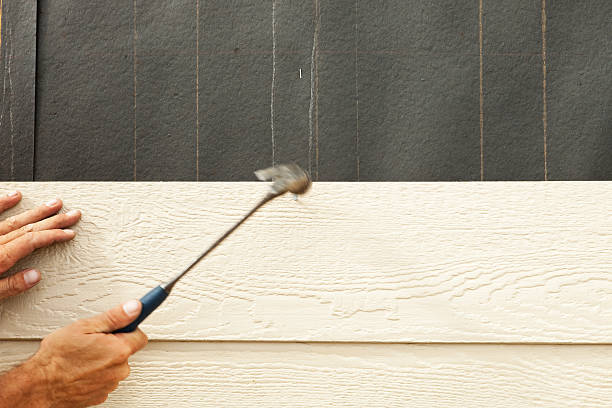 Best Historical Building Siding Restoration  in Stephenville, TX